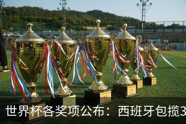 世界杯各奖项公布：西班牙包揽3大奖，罗德里MVP，姆巴佩卫冕金靴